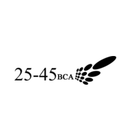 25-45 Business Consulting Africa logo, 25-45 Business Consulting Africa contact details