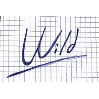 Wild Consulting Services logo, Wild Consulting Services contact details