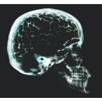 Brain Engineering Lab logo, Brain Engineering Lab contact details