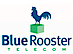 Blue Rooster Telecom logo, Blue Rooster Telecom contact details