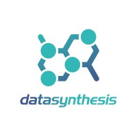 Datasynthesis Inc logo, Datasynthesis Inc contact details