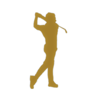 Own Your Golf Game logo, Own Your Golf Game contact details