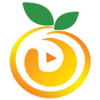 Orange prime video Pvt Ldt logo, Orange prime video Pvt Ldt contact details