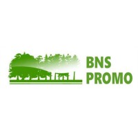 BNS Promo Inc logo, BNS Promo Inc contact details