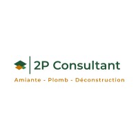 2P Consultant logo, 2P Consultant contact details