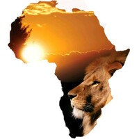 pride in africa safaris logo, pride in africa safaris contact details