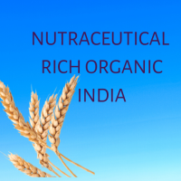 Nutraceutical Rich Organic India logo, Nutraceutical Rich Organic India contact details