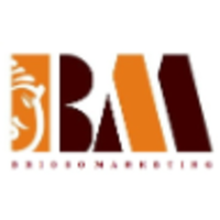 Brioso Marketing LLP logo, Brioso Marketing LLP contact details