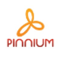 Pinnium Bags logo, Pinnium Bags contact details