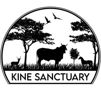 Kine Sanctuary logo, Kine Sanctuary contact details