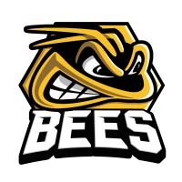 TSI WORLD BEES ICE HOCKEY CLUB logo, TSI WORLD BEES ICE HOCKEY CLUB contact details