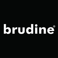 Brudine Profissionais logo, Brudine Profissionais contact details