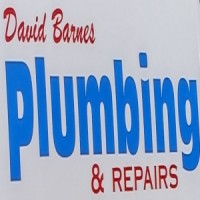 David Barnes Plumbing & Repairs, LLC logo, David Barnes Plumbing & Repairs, LLC contact details