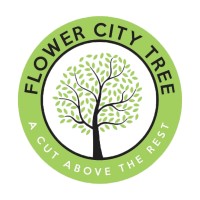 Flower City Tree logo, Flower City Tree contact details