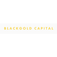 BGC BLACKGOLD CAPITAL logo, BGC BLACKGOLD CAPITAL contact details