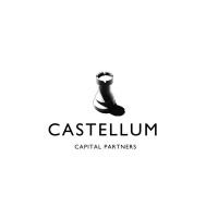 Castellum Capital Investments Ltd logo, Castellum Capital Investments Ltd contact details