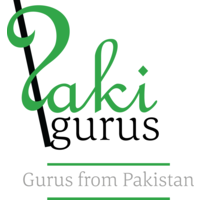 PakiGurus Pvt Ltd logo, PakiGurus Pvt Ltd contact details