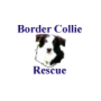 Border Collie Rescue, Inc. logo, Border Collie Rescue, Inc. contact details