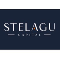 STELAGU Capital & Gestão Empresarial logo, STELAGU Capital & Gestão Empresarial contact details