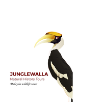 Junglewalla Natural History Tours Sdn. Bhd logo, Junglewalla Natural History Tours Sdn. Bhd contact details