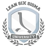 The Lean Six Sigma Company logo, The Lean Six Sigma Company contact details