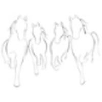 Fresh Horses, LLC logo, Fresh Horses, LLC contact details