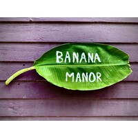 Banana Manor Rug Co. logo, Banana Manor Rug Co. contact details