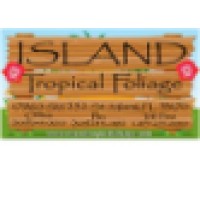 Island Tropical Foliage logo, Island Tropical Foliage contact details