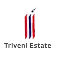 Triveni Estate logo, Triveni Estate contact details