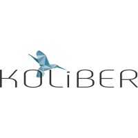 koliber sas logo, koliber sas contact details