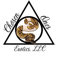 Chosen Ones Exotics logo, Chosen Ones Exotics contact details