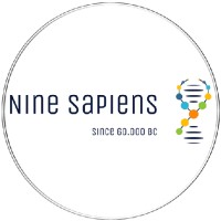 Nine Sapiens logo, Nine Sapiens contact details