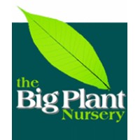 The Big Plant Nursery logo, The Big Plant Nursery contact details