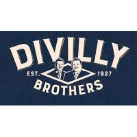 Divillys Ltd logo, Divillys Ltd contact details