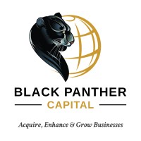 Black Panther Capital Ltd logo, Black Panther Capital Ltd contact details