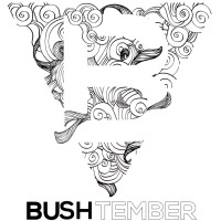 Bushtember Foundation logo, Bushtember Foundation contact details