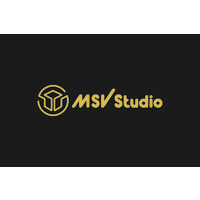 MSV Studio logo, MSV Studio contact details