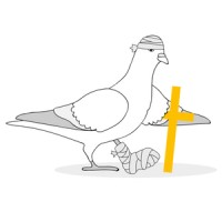 Wounded Birds Ministry logo, Wounded Birds Ministry contact details