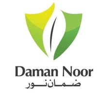 Daman Noor Investment LLC logo, Daman Noor Investment LLC contact details