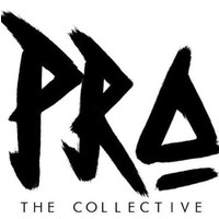 PRo the Collective logo, PRo the Collective contact details