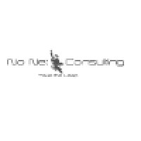 No Net Consulting logo, No Net Consulting contact details