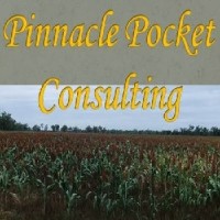 Pinnacle Pocket Consulting logo, Pinnacle Pocket Consulting contact details