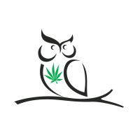 Night Owl Financial logo, Night Owl Financial contact details