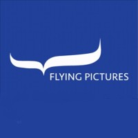 Flying Pictures Group Ltd logo, Flying Pictures Group Ltd contact details