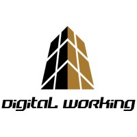 Digital Working Serviços Administrativos e Educacionais logo, Digital Working Serviços Administrativos e Educacionais contact details