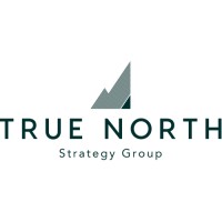 True North Strategy logo, True North Strategy contact details