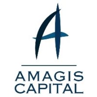 Amagis Capital, Asset Management and Financial Advisory logo, Amagis Capital, Asset Management and Financial Advisory contact details