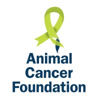 Animal Cancer Foundation logo, Animal Cancer Foundation contact details