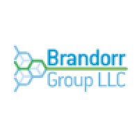 Brandorr Group LLC logo, Brandorr Group LLC contact details