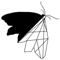 Black Moth Solutions logo, Black Moth Solutions contact details